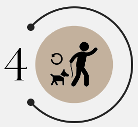 Updates & Collar Colors